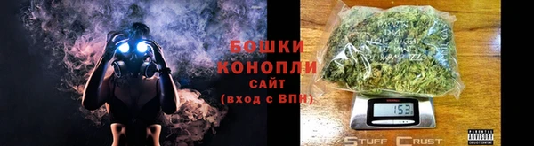 трава Бородино