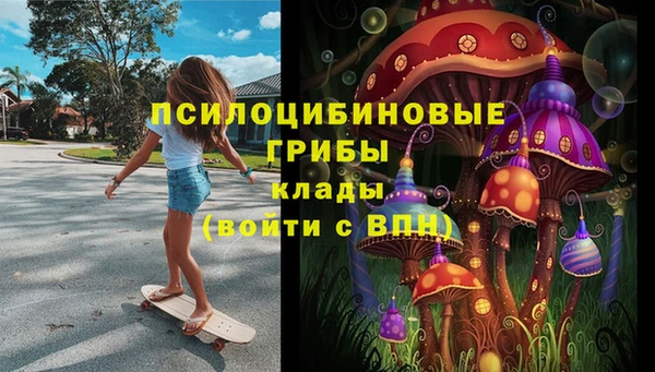 трава Бородино