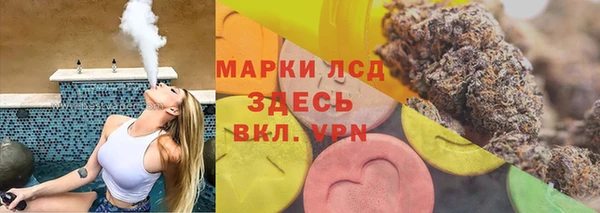 трава Бородино