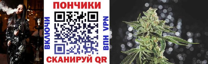 Конопля Bruce Banner  закладки  Новомичуринск 